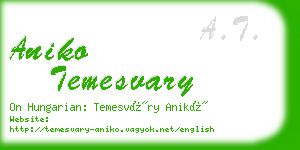 aniko temesvary business card